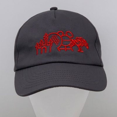 Theme Park Collection Adult Hat