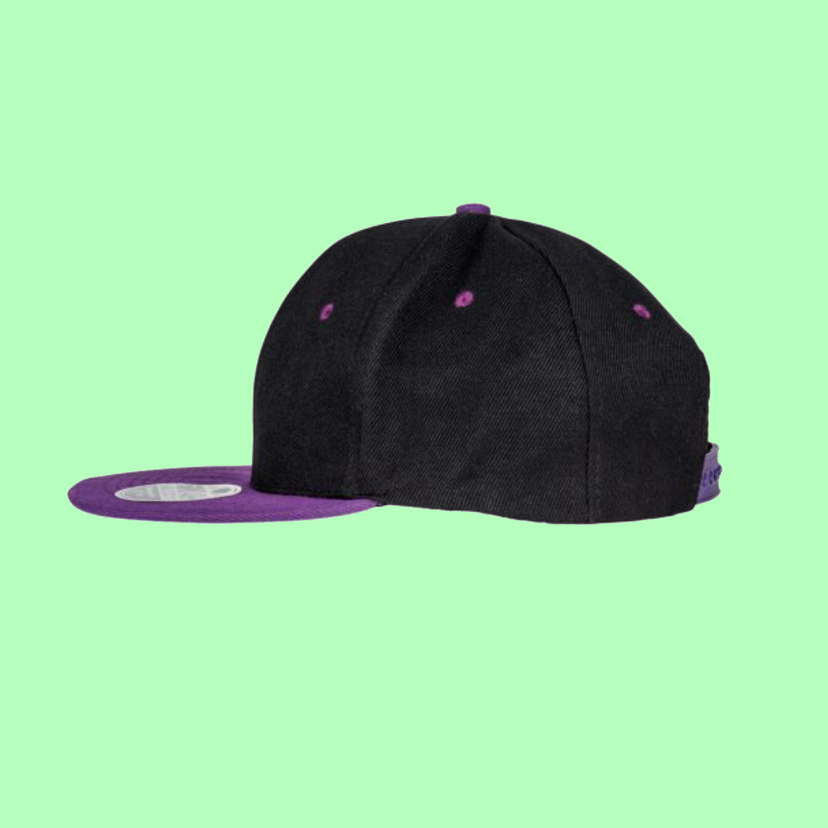 Embroidered Contrast Bronx Cap